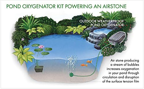 Blagdon Pond Water Oxygenator Kit, 2 Outlet Aeration Air Pump for Standard Ponds up to 2000 litres