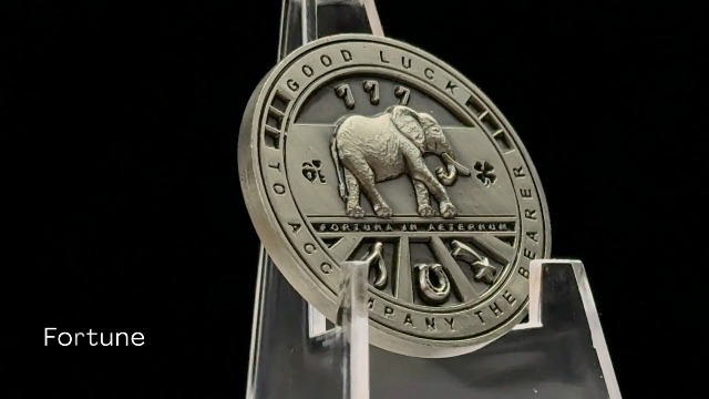 Amazon.com: Luck Lab Two Sided Lucky Coin Featuring One Side with