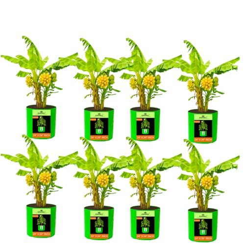 Image of Kingwell grow bags 24X24 inch pack of 8 For Terrace Garden Vegetable Plant Grow Bags Fruits Growing Containers For terrece Gardening