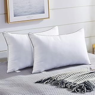 JOLLYVOGUE Pillows Queen Size 2 Pack for Sleeping, Soft and Supportive Bed Pillow for Side and Back Sleeper, Down Alternative Hotel Collection Pillows-20 x30