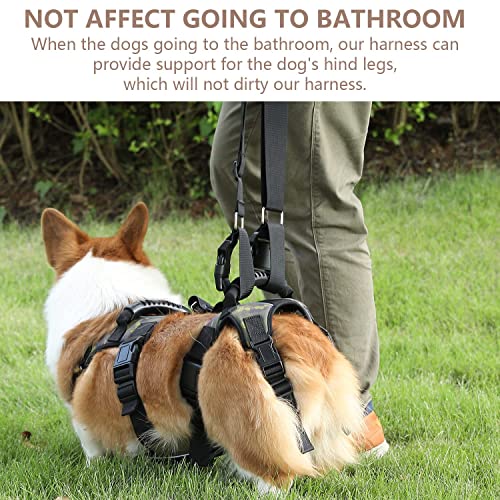 Coodeo Dog Lift Harness, Full Body Support & Recovery Sling, Pet Rear