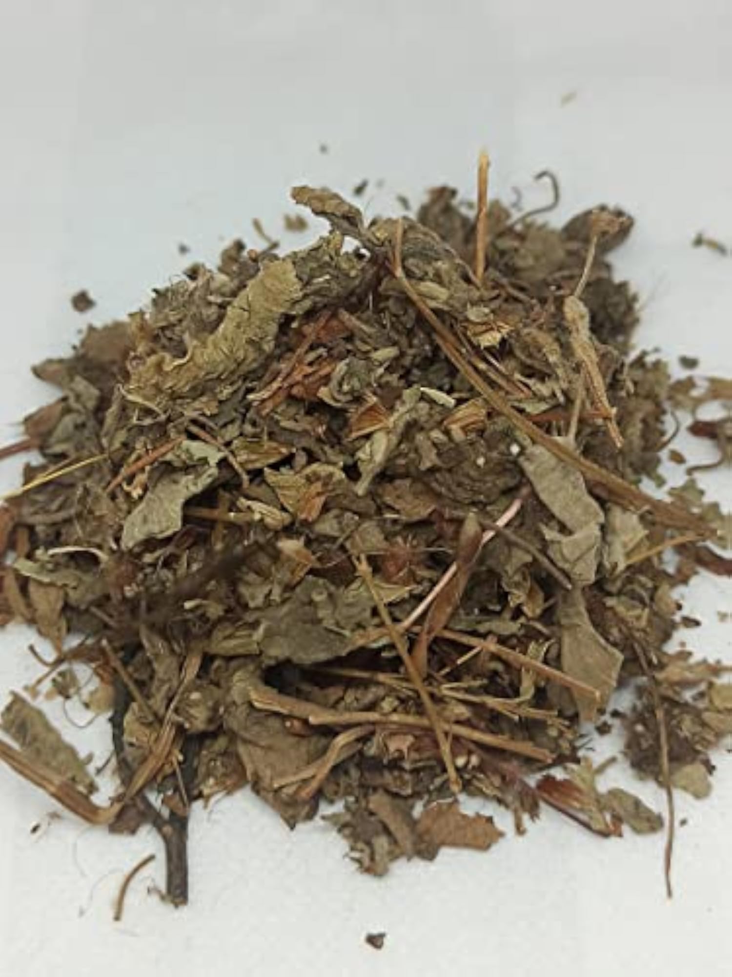 Naturalife's Thiruneetru Pachilai, Sweet Basil, Ayurvedic Herb