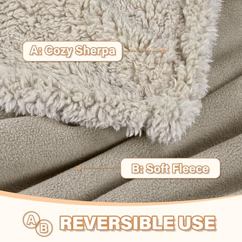 Pawsee Wasserdicht Hundedecke Katzendecken Waschbar, wasserdichte Decke für Unterwegs Hundesofa Schutzdecke Sofa Überwurf, Flauschig Hundedecke für Miniaturhunde Kleine Hunde Katzen,XS 75 x 60cm