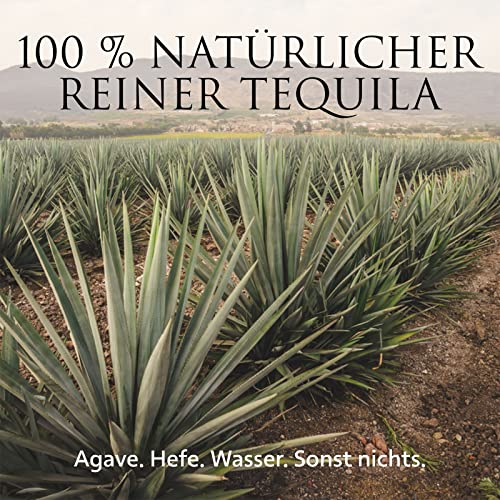 PATRÓN Añejo Premium Tequila, creata in Messico in piccoli lotti a partire dal 100% della migliore agave Weber Blue, invecchiata per oltre 12 mesi in botti di rovere, Vol. 40%, 70 cl / 700 ml