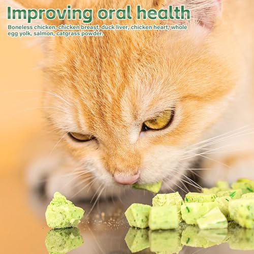 Katzengras Snack: 120g Gefriergetrocknet Snacks Natürlich Getrocknet Snacks für Katzen für die Zahnpflege und Haarknäuel Entfernen, Katzengras Sticks Kauspielzeug für Katzen, Cat Grass Snack