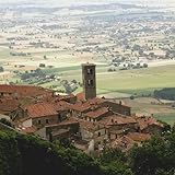 Ludovico Barano