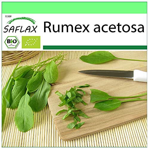 SAFLAX - Ecológico - Alazana - 400 semillas - Rumex acetosa