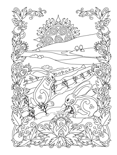Creative Haven Celtic Gardens Coloring Book