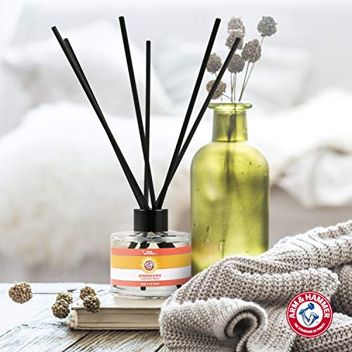 Arm & Hammer for Pets Air Care Refreshing Room Spray for Odor Elimination | 10 oz Eucalyptus Mint Fragrance Air Freshener Spray | Baking Soda Pet Deodorizer - Image 11