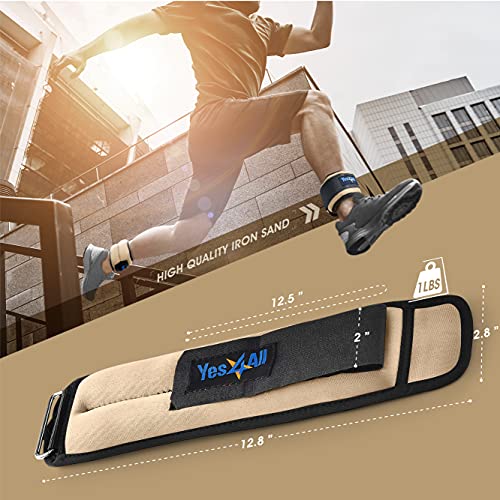 https://m.media-amazon.com/images/I/51VcExnUmHS._SL500_.jpg