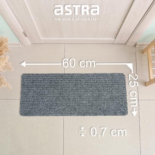 Astra Fußmatte innen Silber Schmutzfangmatte rutschfest – Türmatte 25x60 cm wasserabweisend – Rib Line strapazierfähiger Fußabtreter antistatisch