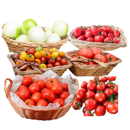 長田農園 [4月〜6月の定期便]トマト好き全員集合 トマト・トマト・トマト3か月お届けパック