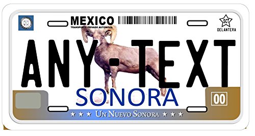 Sonora Mexico Placas License Plate