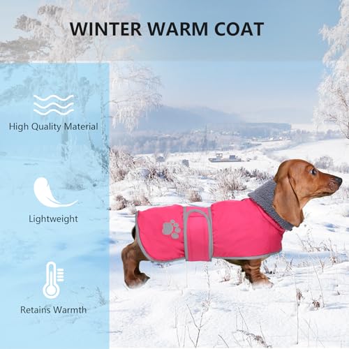 Geyecete-Hunde Wintermantel fur Dackel,Hundejacken mit plüschfutter und Kabelbaumloch,Wasserdichter Winddicht, reflektierend Outdoor Hundekleidung fur mittel und Kleiner Dackel Hund-Rosa-M