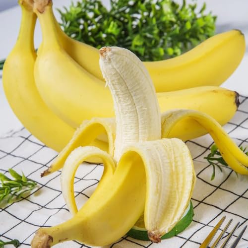 semi di banana, semi biologici da frutto colonnari di banano resistente, banano resistente 10pcs