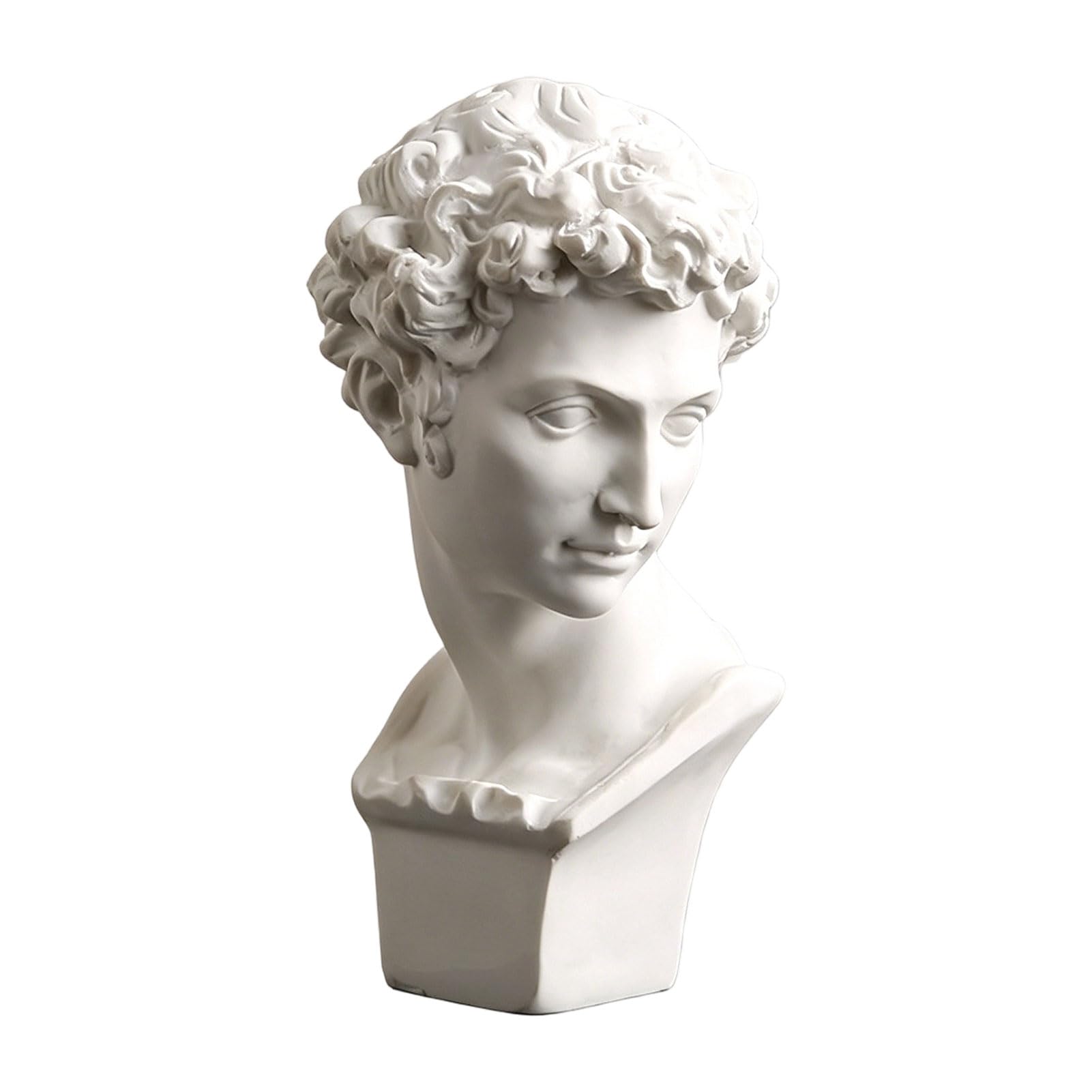 Pasisuu Detailed Resin Statue Greek Bust Ornament, Multi-angle Observation Model for Art Students, Classic David Sculpture Replica for Drawing Practice, White Home Decor Figurine A