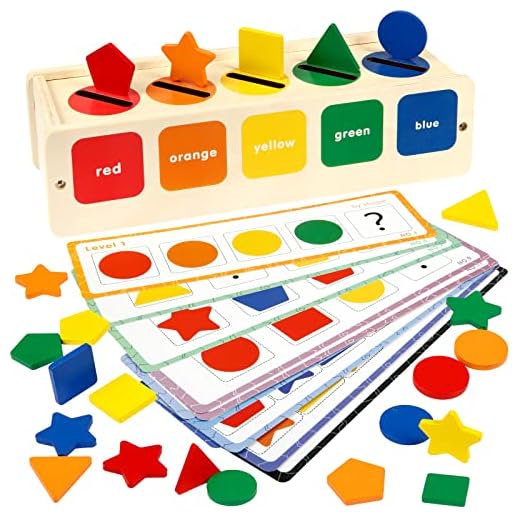 Landifor Giochi Bambini Montessori Cubo Incastri con Forme Geometriche Giochi Legno Bambini 1 2 3 Anni -Gioco di Ordinamento con 25 pezzi Colorati -per Regalo Giocattolo Compleanno