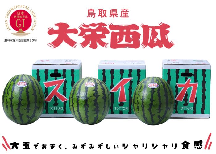 Amazon.co.jp: お中元 すいか 大栄スイカ 優品 Lサイズ 6kg 1玉 鳥取県
