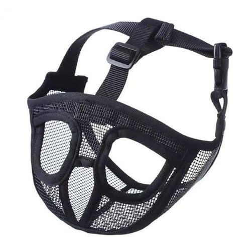 p t`uhbO/pOp bV\ hEhH΍ ZΉ ʋC GRf ϋvD ubN STCY (black s)