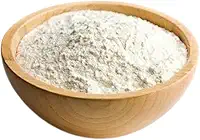 Polvilho Azedo Pacote 1kg - Linha Premium