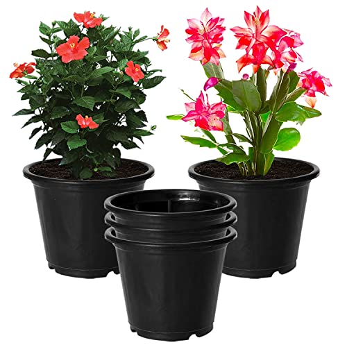 Image of Kuber Industries Durable Plastic Flower Pot|Gamla with Drain Holes for Indoor Home Decor & Outdoor Balcony,Garden,6 inchx5 inch,Pack of 5 (Black)