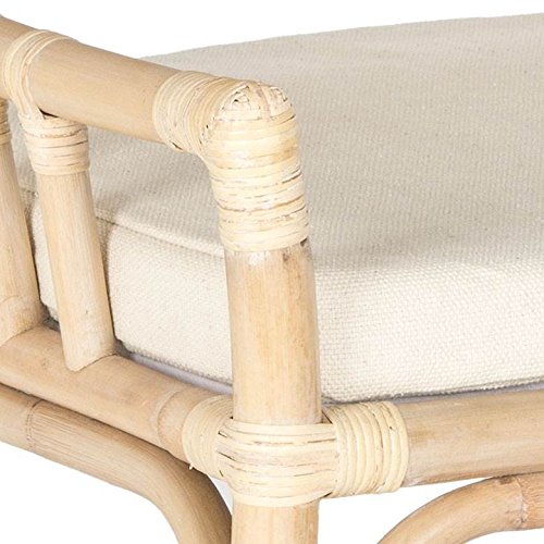 Safavieh Home Collection Donatella Wash Chair, Natural White - Image 6