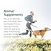 Standard Process Canine Dermal Support - Skin & Adrenal Gland Support Supplement - Comprehensive Skin Health Support Supplement for Dogs - Daily Immune & Liver Support Powder - 30 g