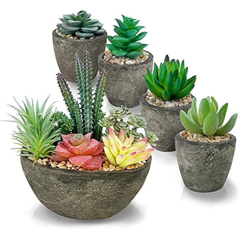 SPEPLA 5 Pack Succulents Plants Artificial Bundle Cover