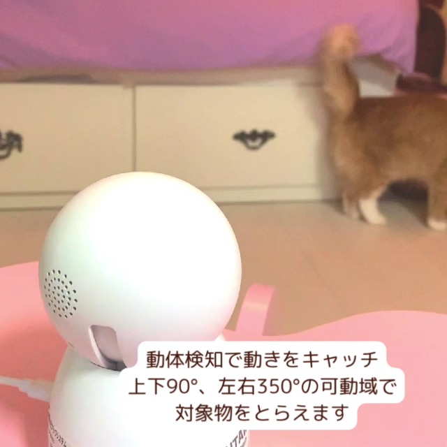 【AirLive】 防犯カメラ 見守りカメラ 4点セット Z wave 防犯カメラ（ワイヤレスモニターセット・カメラ＋モニター各1台