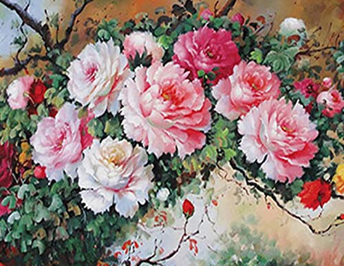 Peinture au diamant 5D pivoine 30x40 cm avec strass carrés et ronds pour broderie