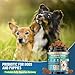 Dog Probiotics for Dogs, 200 Soft Probiotics Chews for Dogs Digestive Health Gut Health & Immune System, with 6 Probiotics & Digestive Enzymes, Support Itchy Skin, Constipation & Diarrhea Relief