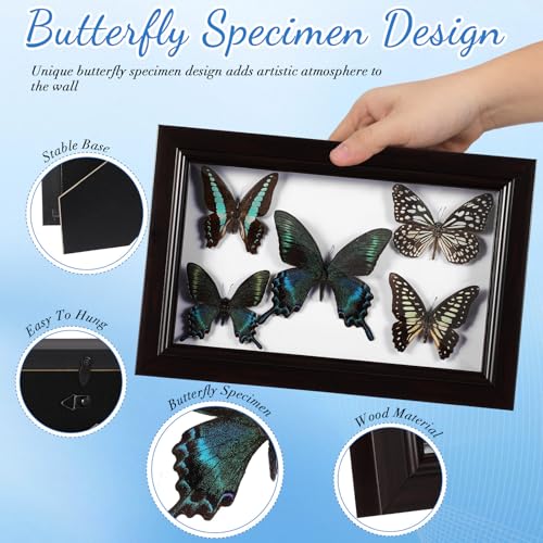 Mariposa decorativa en marco de madera ideal para regalar 3