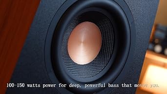 Amazon.com: AIYIMA 800X 8 Inch Powered Subwoofer 150W, 24bit/48KHz