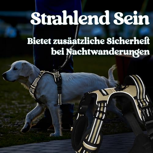 rabbitgoo Hundegeschirr Kleine Hunde, Verstellbare Geschirr Hund ohne Zug & Würgen, Anti Zug hundegeschirr mit Griff, weich Gepolsterte Reflektierende Brustgeschirr, Beige M