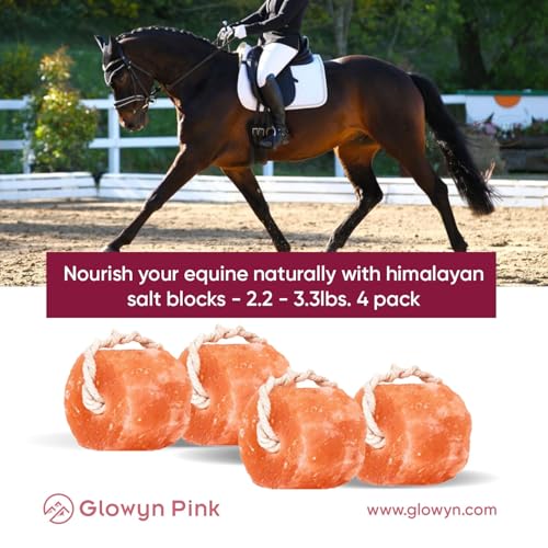 Image of Himalayan Mineral Salt Block on Rope Pack of 4 (3lbs each) - 100% Organic Pink Salt Lick for Horses and Livestock. Deer Attractant with No Harmful Elements.