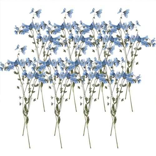 24 Pcs Blue Forget Me Not Flowers Dont Forget Me Flowers Natural Pressed Flowers Real Dry Flowers Nail Art Dried Flowers Card Candle Making Flowers with Stems for Resin Jewelry Home Decorations
