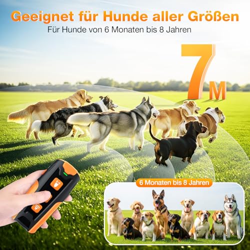 HZK Anti Bell Gerät für Hunde,Ultraschall Hundeabwehr, 3 Modi (Ton/Ultraschall/Taschenlampe), 7m Reichweite, Wiederaufladbar & Humane Hunde Bell Stop Gerät für Kleine bis Große Hunde