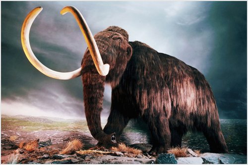 Hse Earthy Tones Woolly Mammoth Poster Prehistoric Gigantic Tusks Shaggy Fur Huge 24X36