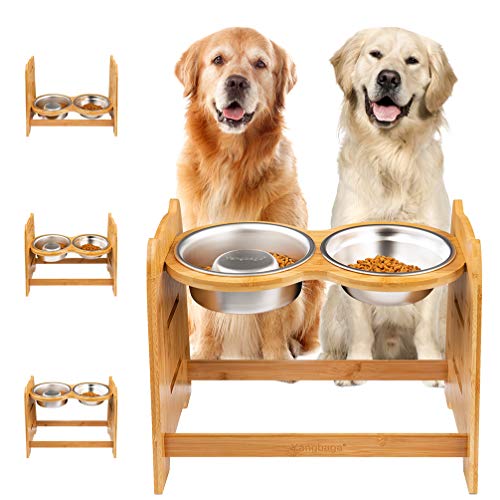 Best Elevated Dog Bowls For Large Dogs 10Reviewz