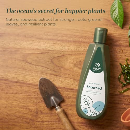 Image of Kyari Seaweed Extract Liquid Fertilizer 250 ml - Organic Plant Growth Booster for Home Garden, Indoor & Outdoor Plants, Potted Plants - Seaweed Plant Food - 100% Natural for Plant Parents
