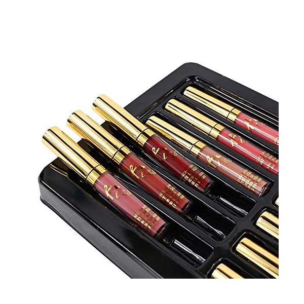 Matte Liquid Lipstick set Waterproof Long Lasting Non-Stick Cup Liquid Lipgloss Velvety Liquid Lipstick Kiss-proof Durable Nude Lip Gloss (12PCS)