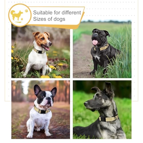 HEELE Hundehalsband, Hundehalsband aus Nylon, Reflektierend Halsband Hund mit Weich Neopren Gepolstert für Welpen Kleine Mittel Große Hunde Läng Einstellbereich 26-38cm, Sandbraun, S