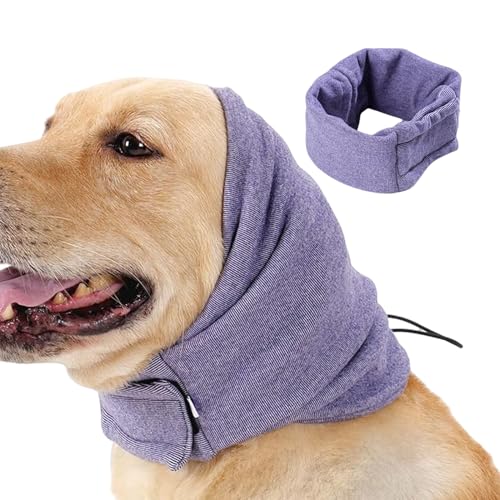 Kezvmhy pC[bvAtbvȂ̌pC[bv, pC[}t, h~AXgXpybgt[hACO[~OpXJ[t