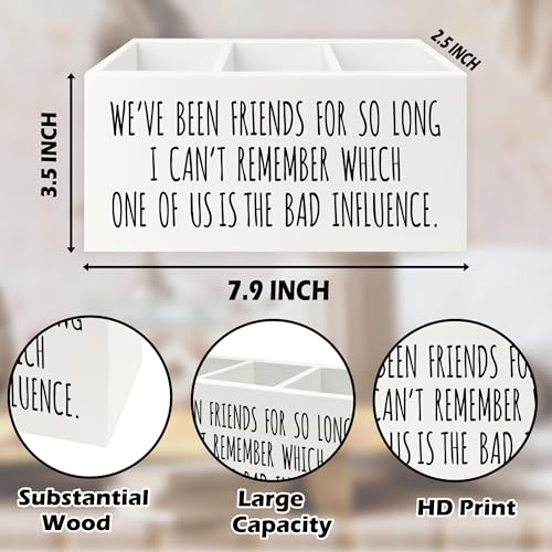 Image of Funny Sarcastic Friendship Pen Pencil Holder Organizer for Desk, Humorous Gifts, We've Been Friends for So Long I Can't Remember Which Wooden Box Signs Decor for Home Office Desk Tabletop