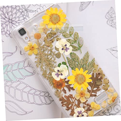 36 Unidades flores secas pétalas de folhas prensadas flores de folhas secas reais decoração artesana
