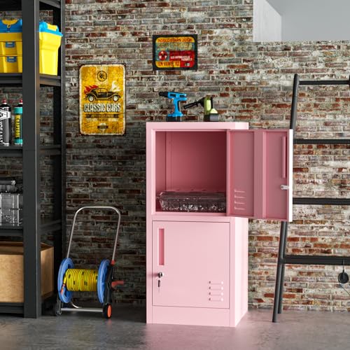 BAVNNRO 2 Door Metal Locker Storage Cabinet with Locking Doors and Shelves File Cabinet Organizer Suitable for Office, Home, Living Room (Pink)