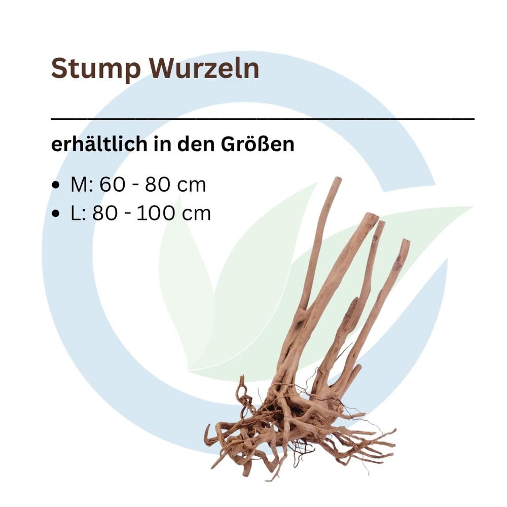 AquaOne Stump Wurzel L 1 Stück Aquarium Wurzel Holz Deko Aquascaping Dekoration Landschaft Mangrove Moorkien Moorwood Moos Natur Echtholz