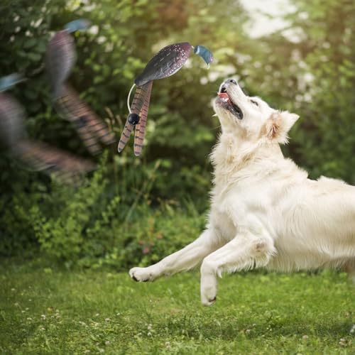 Hundetrainings-Dumy – PU, 30 cm, Hundestoßstange, Fasan-Spielzeug, interaktives Spielzeug mit realistischem Duft und schwimmfähigem Design für Retriever-Training, Outdoor-Spielen und Geflügelübungen