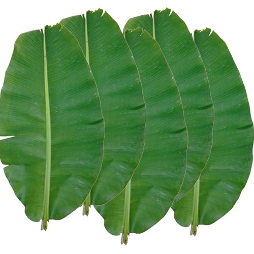 Amazon｜沖縄県産 生バナナ葉(5枚)長さ約85cm-130cm幅約40cm-60cm