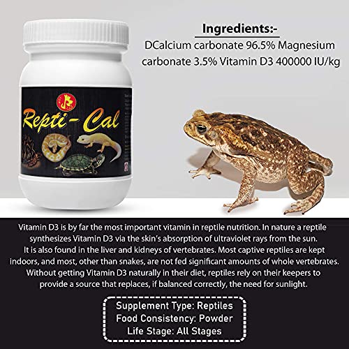 Image of Pet Care International (PCI) Supplement for Turtle and Tortoise. (Repti Cal 100Grm)